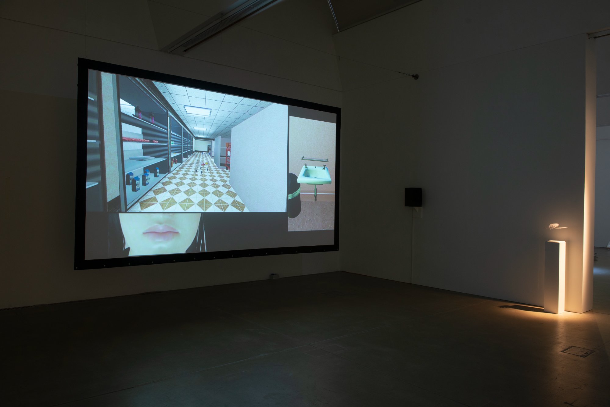 Do You Suck C*ck Like a Good Girl?